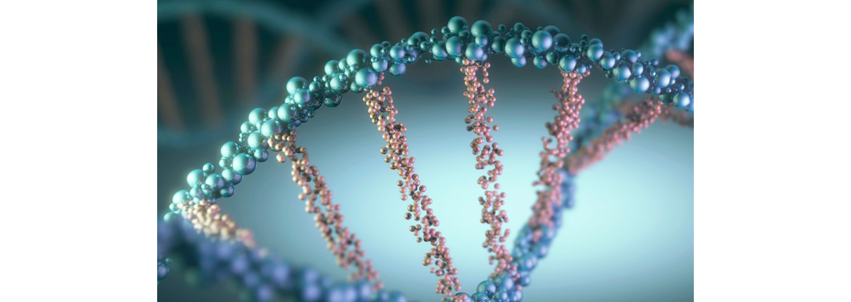 Hva er NMN og hvordan virker dette kosttilskuddet?